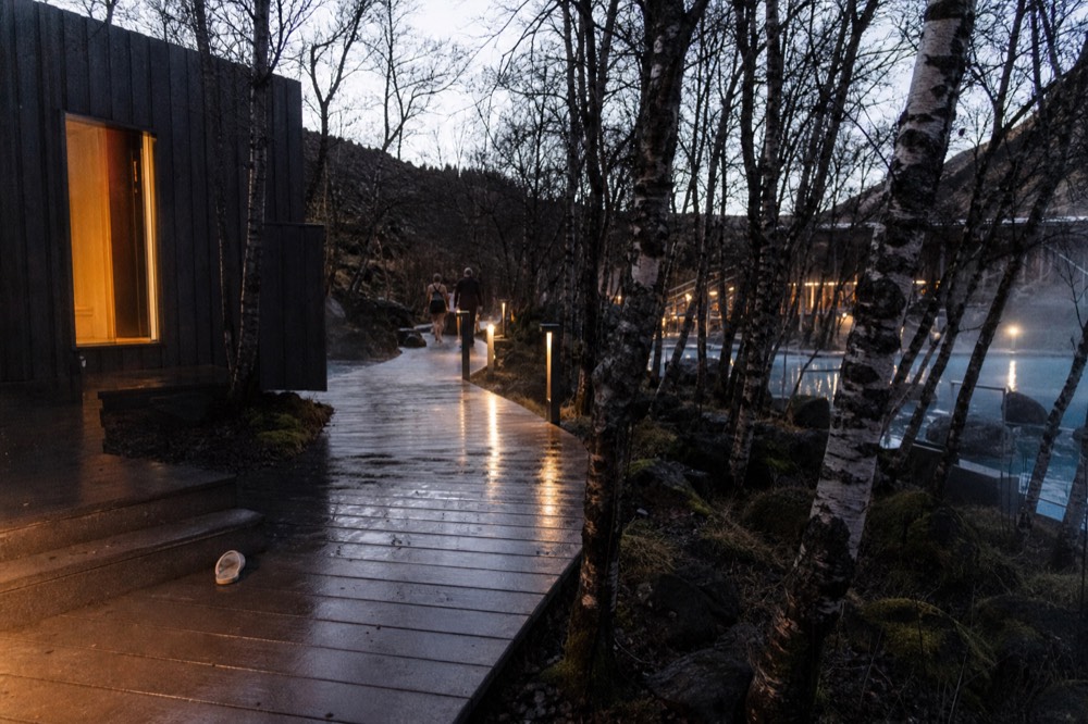 Wooden boardwalk leading between steaming geothermal pools surrounded by birch trees at dusk